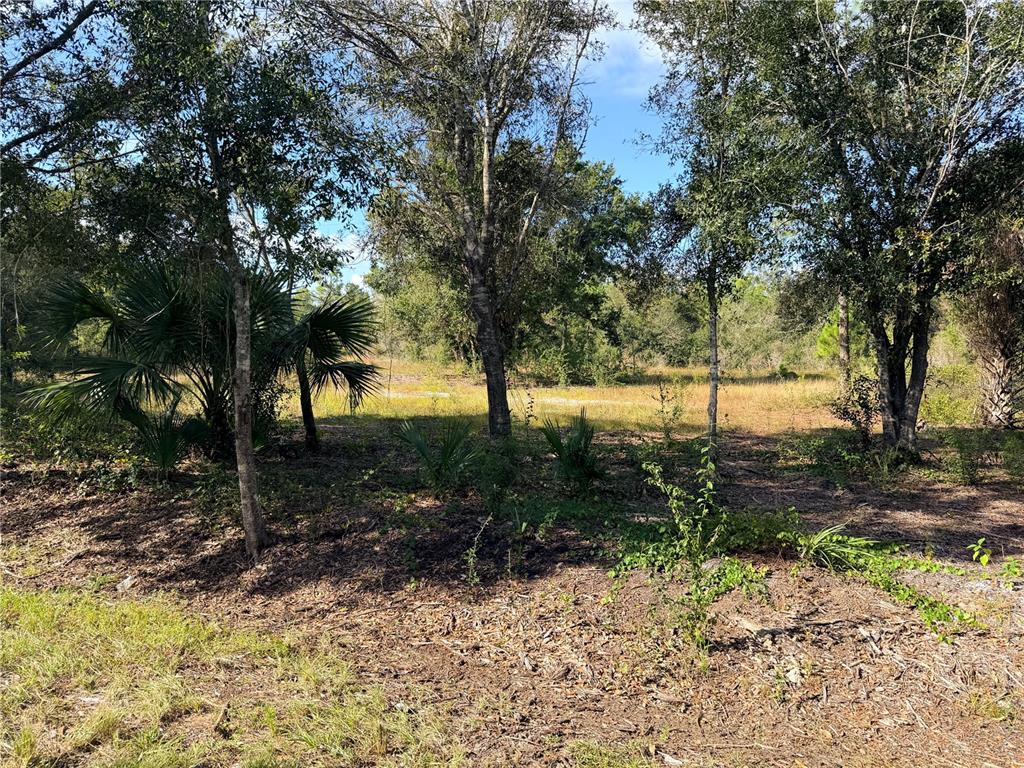 A wooded lot with scattered trees and palmettos leads to an open, grassy field — 13263 BANYAN DRIVE, PUNTA GORDA, FL