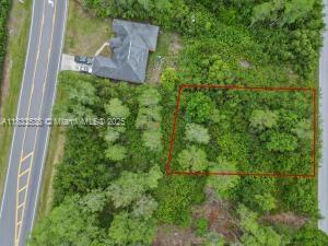 An aerial view shows a rectangular vacant lot outlined in red next to a house — 1325 SAGBLOOM SE, Palm Bay FL 33909, PALM BAY, FL