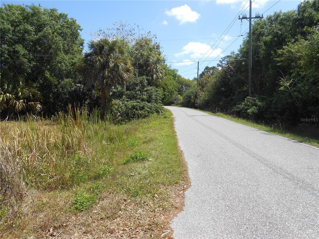 A paved road runs alongside a grassy area with trees and a utility pole — 25480 DUNDEE ROAD, PUNTA GORDA, FL