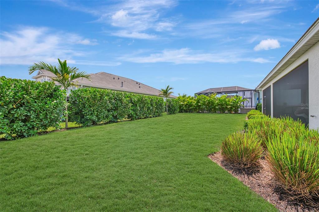 A grassy backyard features a manicured hedge, palm trees, and a screened-in patio area — 12365 VIESTE COURT, VENICE, FL