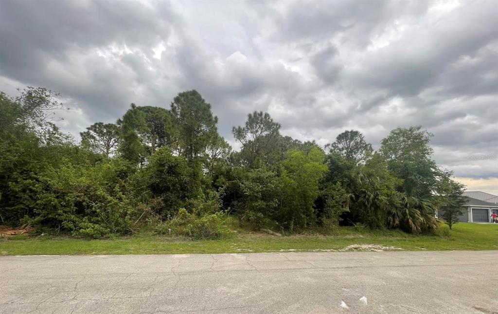 A vacant, wooded residential lot sits along a paved street under a cloudy sky — 4153 SW WEBB STREET, PORT ST LUCIE, FL