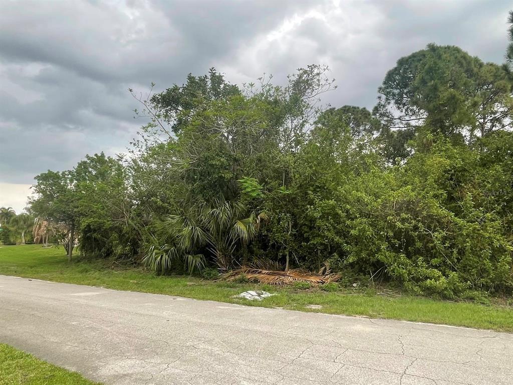 A paved road runs alongside a vacant, heavily wooded lot under a cloudy sky — 4153 SW WEBB STREET, PORT ST LUCIE, FL