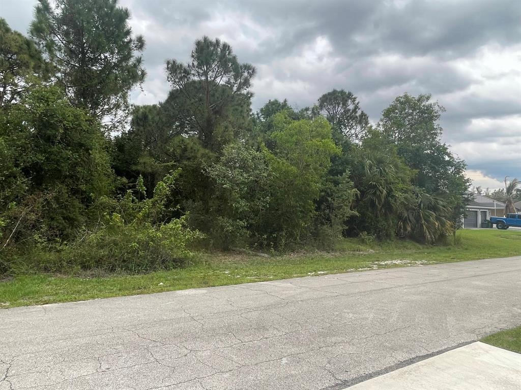 A vacant, wooded residential lot sits next to a paved street and a neighboring house — 4153 SW WEBB STREET, PORT ST LUCIE, FL