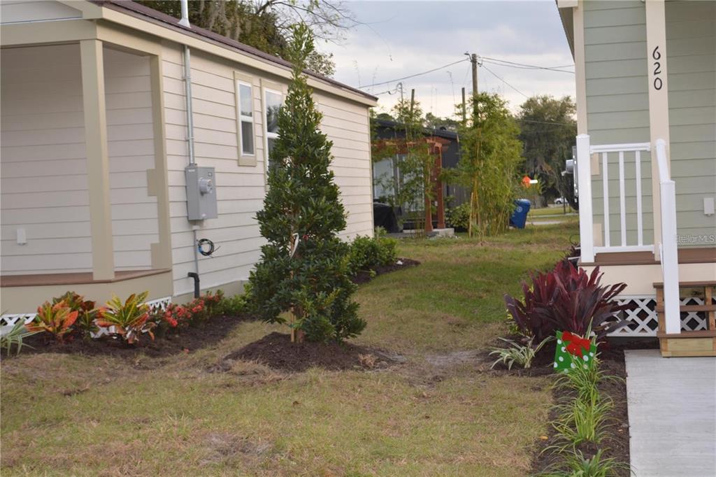 A grassy yard sits between two houses with landscaped garden beds and a tall evergreen tree — 620 THIRD STREET, OVIEDO, FL