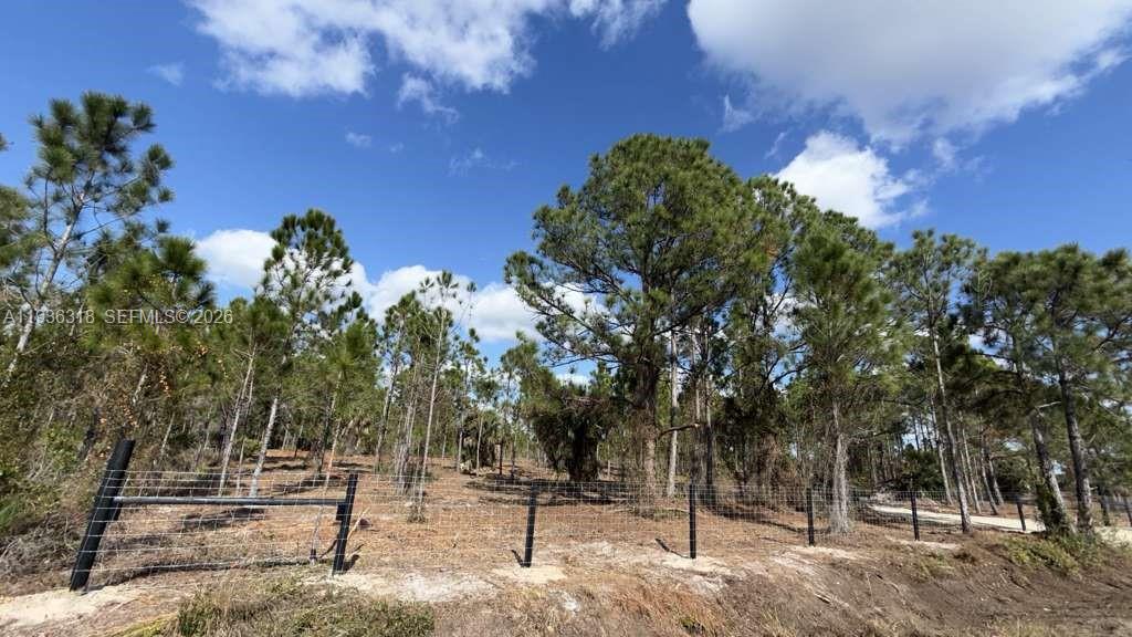 A fenced, wooded lot features tall pine trees under a partly cloudy blue sky — 17975 NW 298 st, Okeechobee FL 34972, OKEECHOBEE, FL