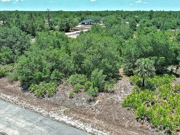 An aerial view shows a wooded, undeveloped lot next to a paved road — 603 FITCH AVENUE, LEHIGH ACRES, FL