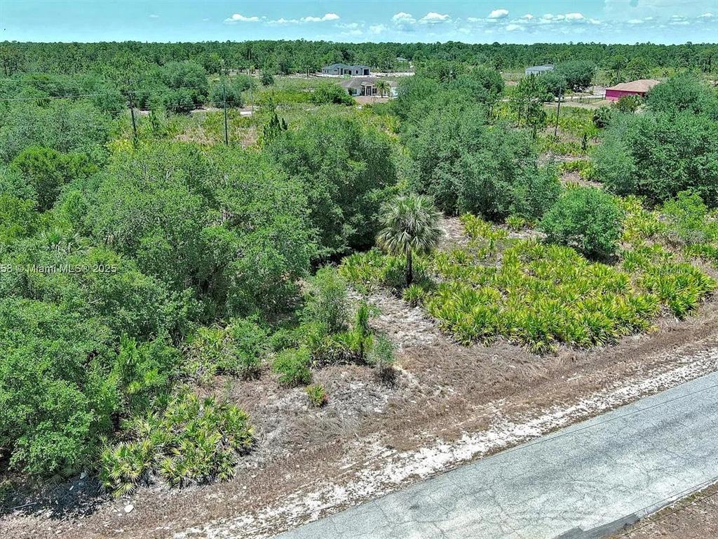 An elevated view shows a vacant, wooded lot bordered by a paved road — 603 FITCH AVENUE, LEHIGH ACRES, FL