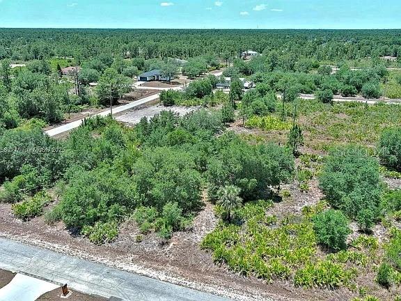 An aerial view shows a wooded, undeveloped residential lot next to a paved road — 603 FITCH AVENUE, LEHIGH ACRES, FL
