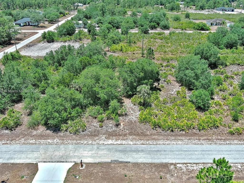 An aerial view shows a vacant, wooded residential lot bordered by a paved road — 603 FITCH AVENUE, LEHIGH ACRES, FL