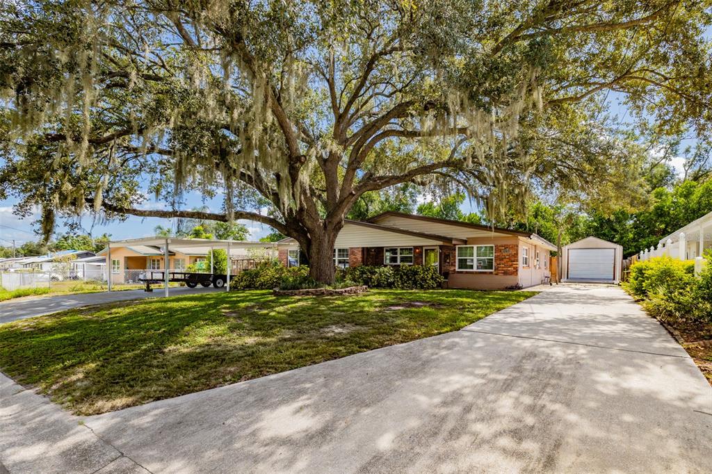 1205 W CAMELLIA DRIVE, BRANDON, FL — photo 5 of 23