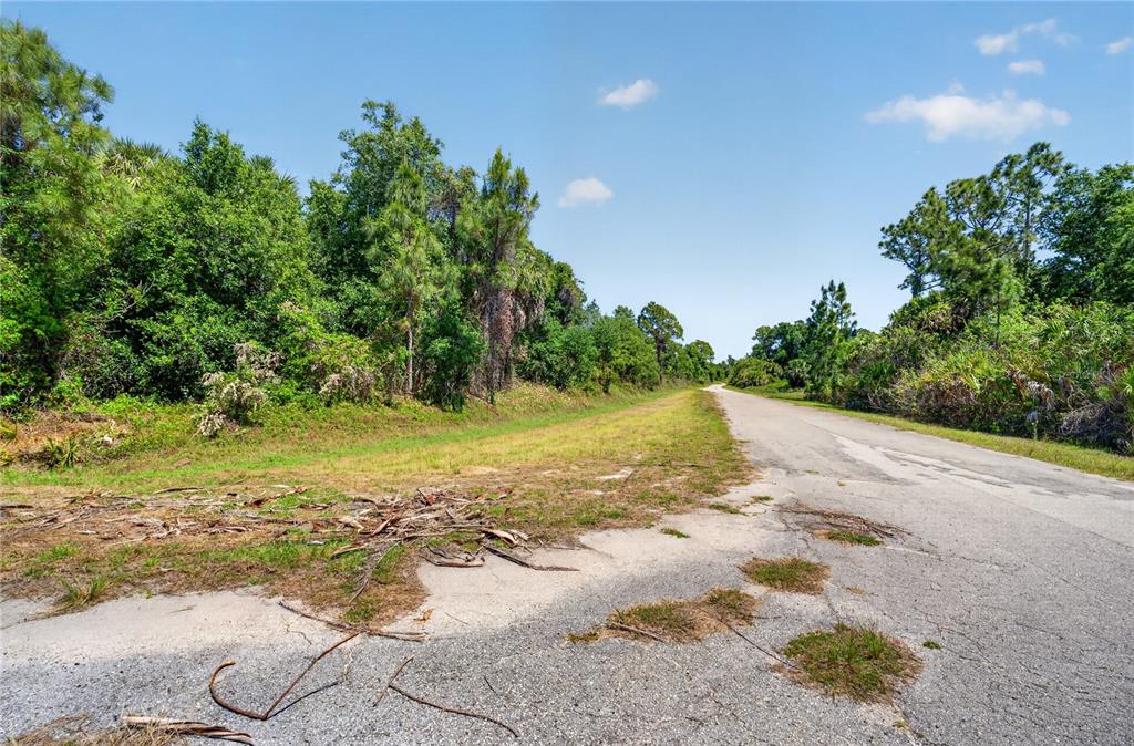A paved road runs alongside a grassy area bordered by dense trees and vegetation — CUSTER CIRCLE, NORTH PORT, FL