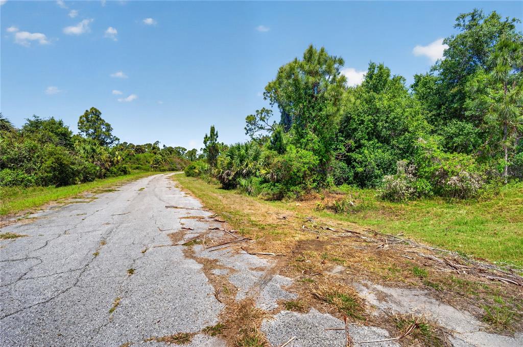 A paved road winds through a rural area with dense trees and vegetation — CUSTER CIRCLE, NORTH PORT, FL