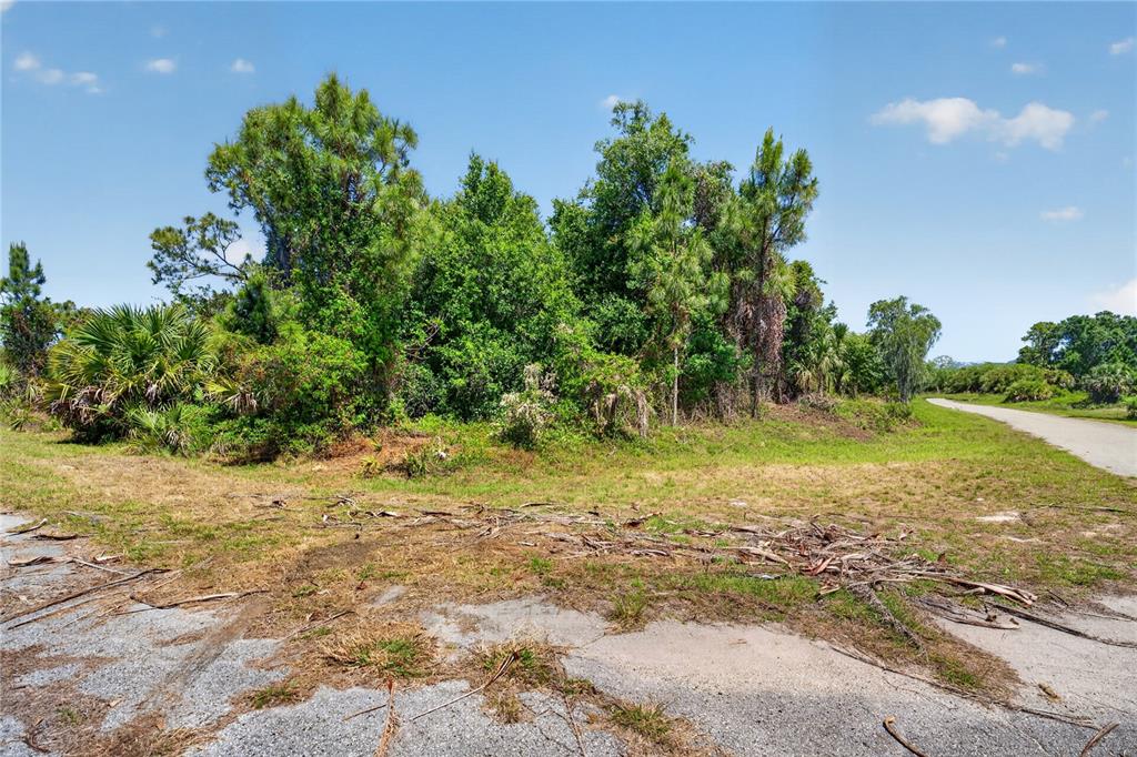 A vacant, grassy lot with scattered trees and shrubs borders a paved road — CUSTER CIRCLE, NORTH PORT, FL
