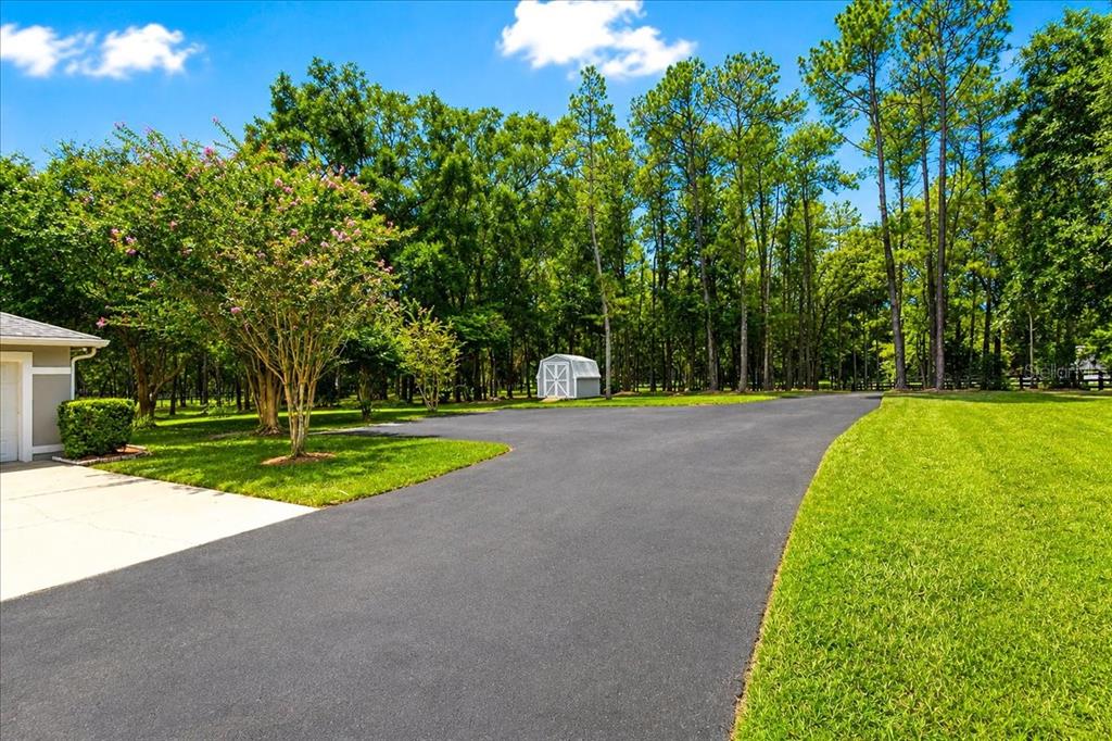 A paved driveway leads toward a small storage shed surrounded by trees and green grass — 855 NW 75TH TERRACE, OCALA, FL