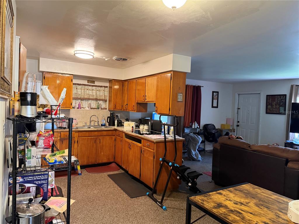 A kitchen with wood cabinets and a carpeted floor opens into a living area — 3210 E FERN STREET, TAMPA, FL