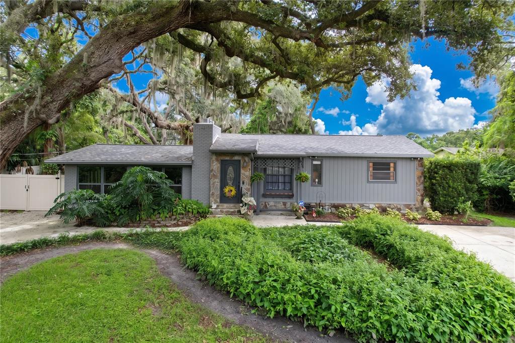 A single-story gray house with a stone chimney and large oak trees in the front yard — 11805 N 51ST STREET, TEMPLE TERRACE, FL
