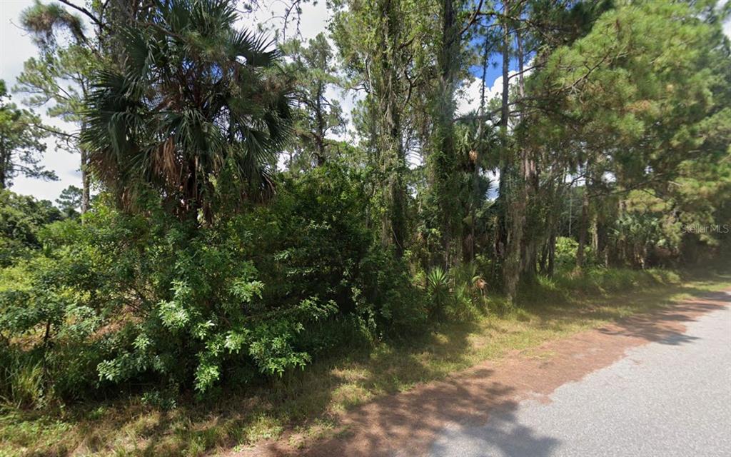 A wooded lot with dense vegetation and tall trees borders a paved road — Lot 33 BARTIGON AVENUE, NORTH PORT, FL
