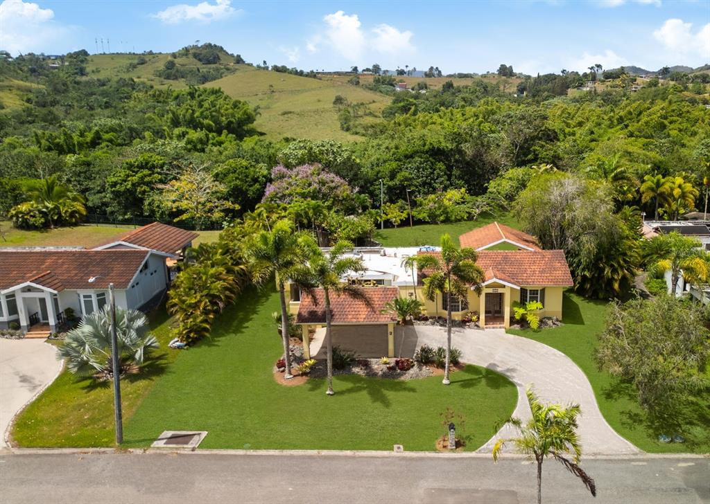 An aerial view of a yellow house with a tiled roof, palm trees, and driveway — 383 CAMINO LOS FLAMBOYANES, CIDRA, PR