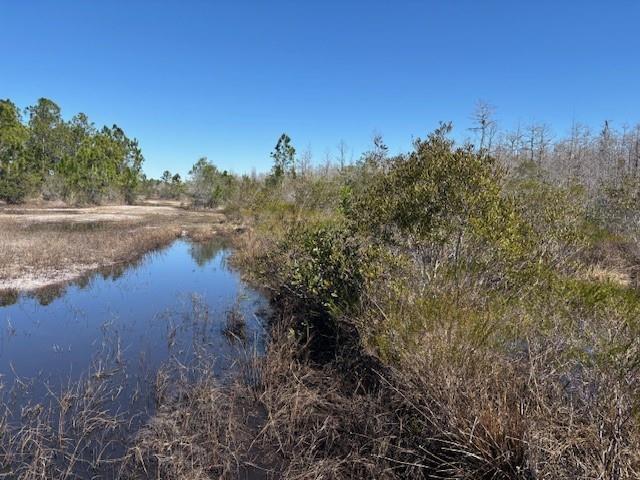 A view of a shallow, still body of water bordered by marshland and pine trees — 0 Holopaw Groves Road, FL 34772, FL