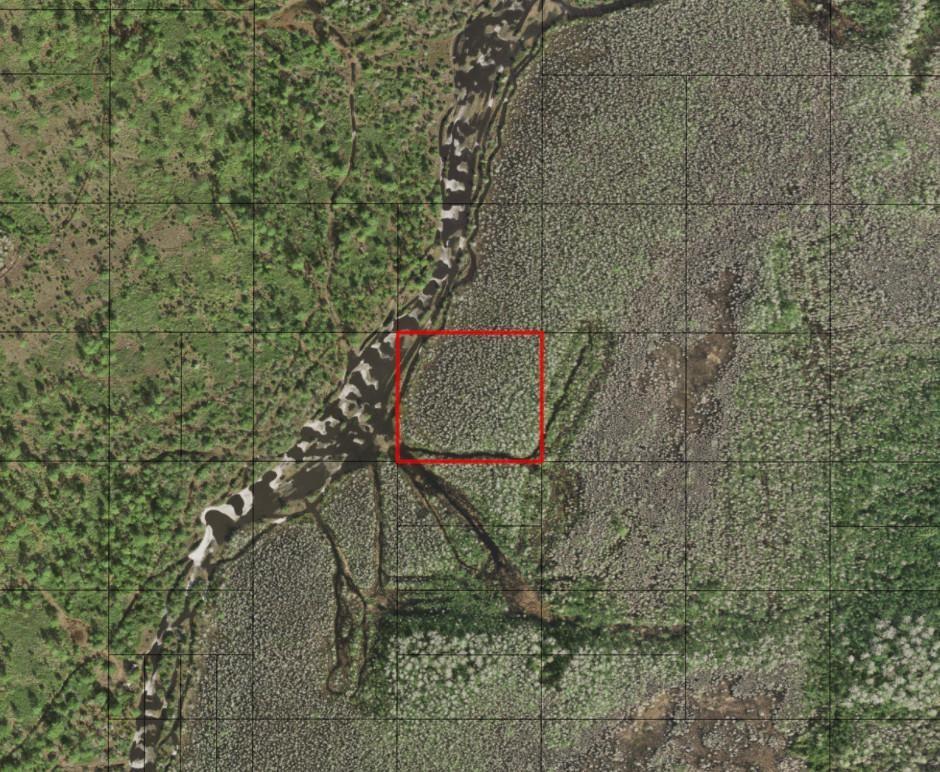 This is an aerial map view showing a square plot of land outlined in red — 0 Holopaw Groves Road, FL 34772, FL