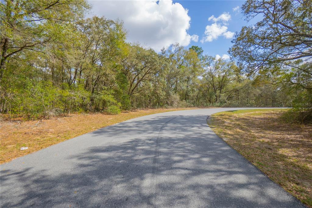 A paved road curves through a wooded area with mature trees under a blue sky — 8743 N SANDREE DRIVE, CITRUS SPRINGS, FL