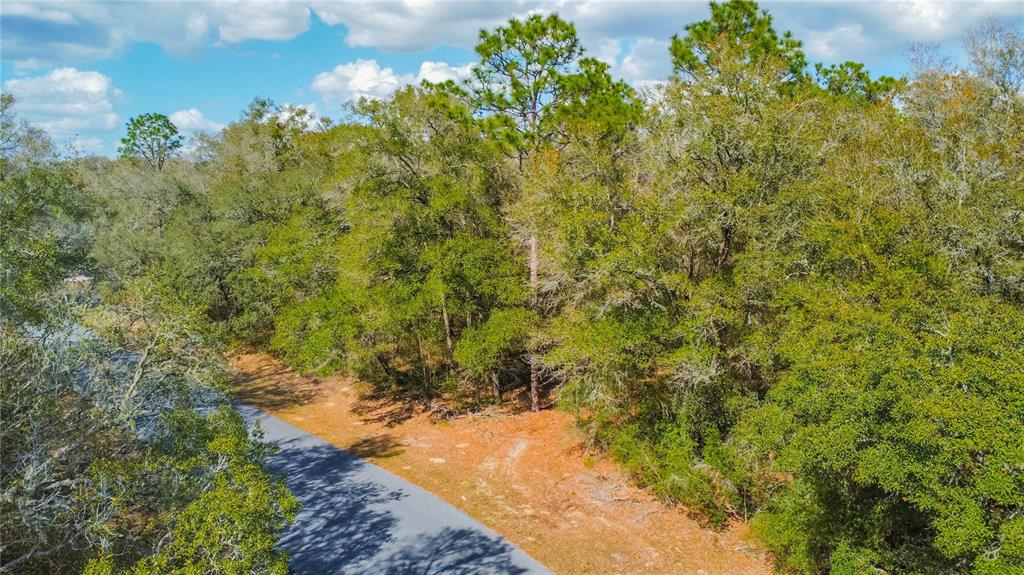 An aerial view shows a paved road winding through a wooded area with mature trees — 8743 N SANDREE DRIVE, CITRUS SPRINGS, FL