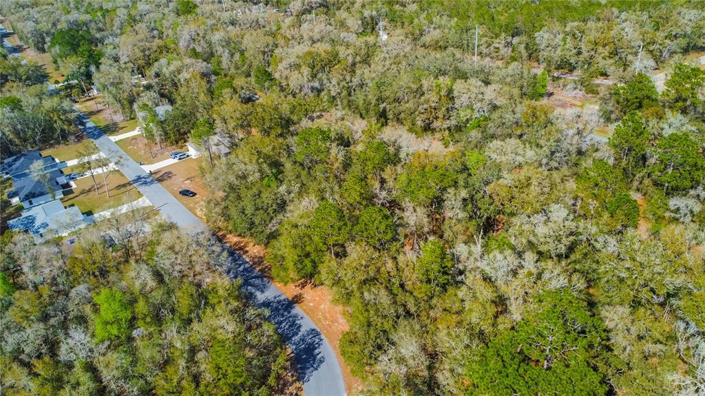 An aerial view shows a paved road winding through a dense, wooded residential lot — 8743 N SANDREE DRIVE, CITRUS SPRINGS, FL