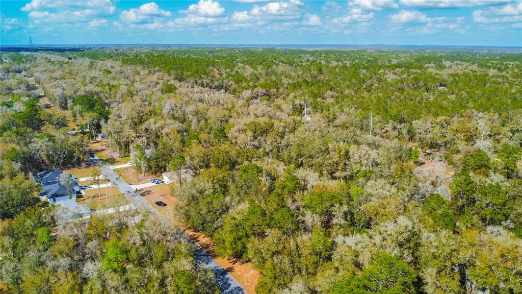 An aerial view shows a residential street winding through a dense, wooded forest area — 8743 N SANDREE DRIVE, CITRUS SPRINGS, FL
