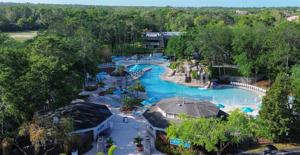 An aerial view of a resort-style swimming pool with a waterfall and surrounding lounge area — 1618 SANDHILL COURT, PALM HARBOR, FL
