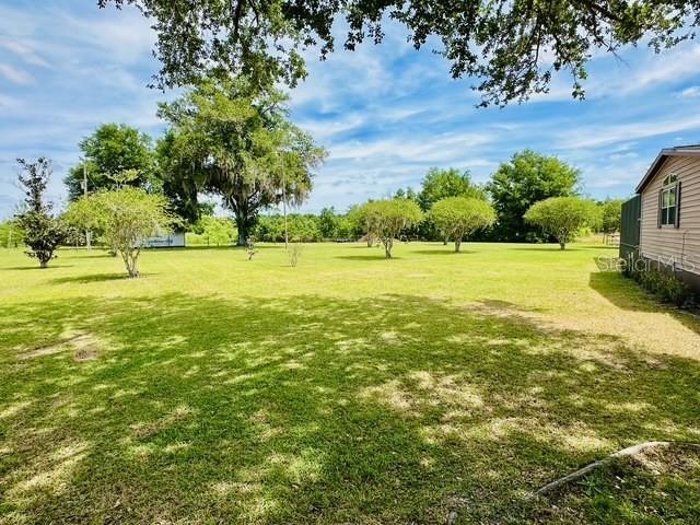 A grassy backyard features several trees and a portion of a house on the right — 6814 REDWING ROAD, GROVELAND, FL