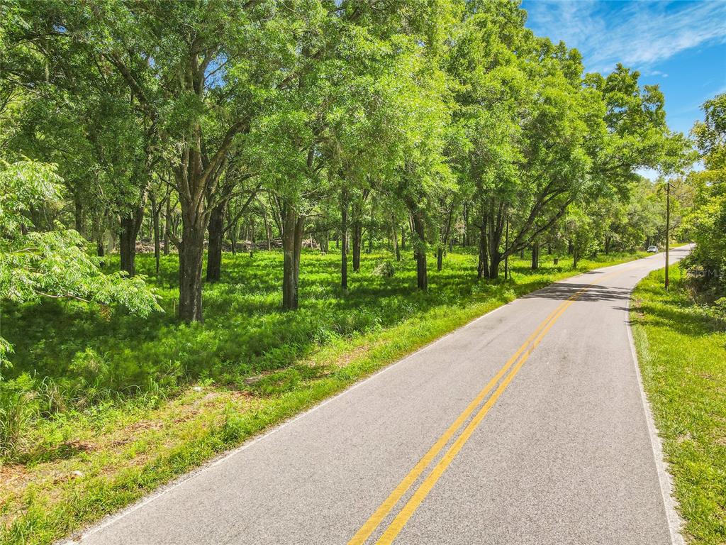 A paved road runs alongside a wooded lot with tall trees and green grass — 164 DENVER ROAD, CRESCENT CITY, FL