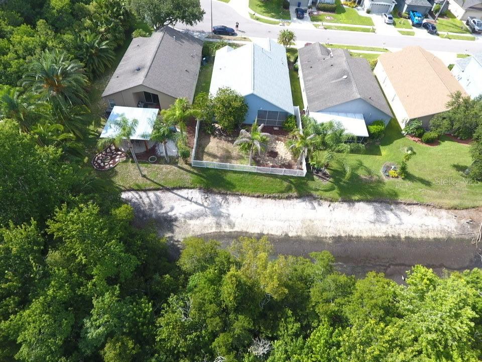 An aerial view shows a row of suburban houses bordering a wooded area and pond — 19310 WEEDON COURT, LAND O LAKES, FL