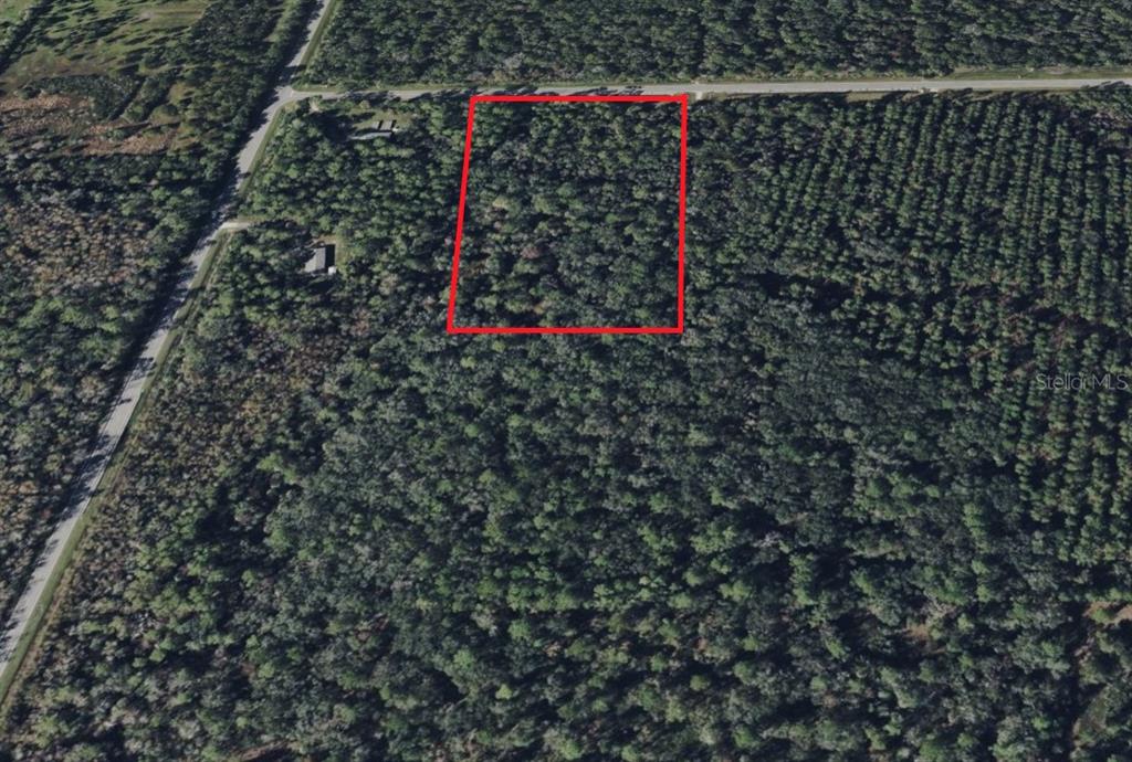 An aerial view shows a rectangular plot of land outlined in red amidst dense forest — 000 WATER OAK ROAD, BUNNELL, FL