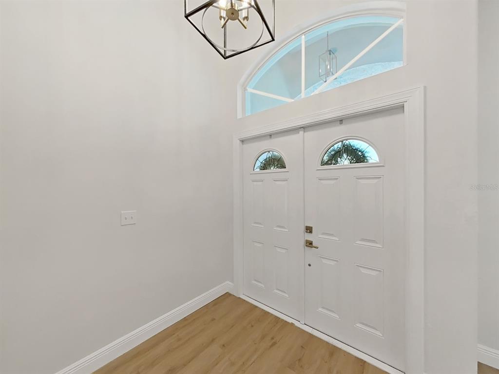 An entryway features double white doors, a transom window, and a modern geometric light fixture — 17110 DOWNS DRIVE, ODESSA, FL