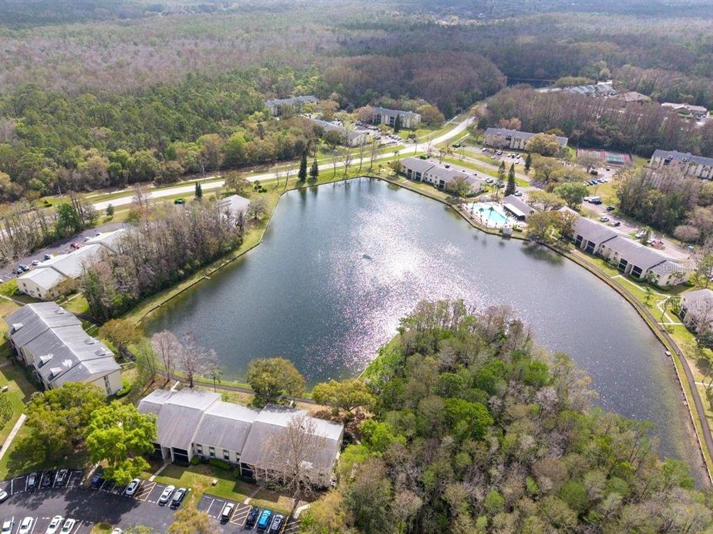 An aerial view shows apartment buildings surrounding a central lake with a swimming pool — 3101 LAKE PINE WAY UNIT A1, TARPON SPRINGS, FL