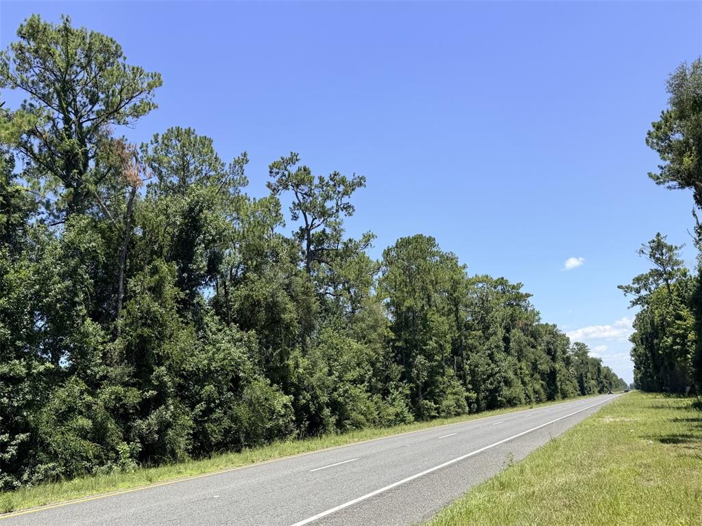 A paved road stretches alongside a dense line of trees under a clear blue sky — 0 SE HWY 19, INGLIS, FL