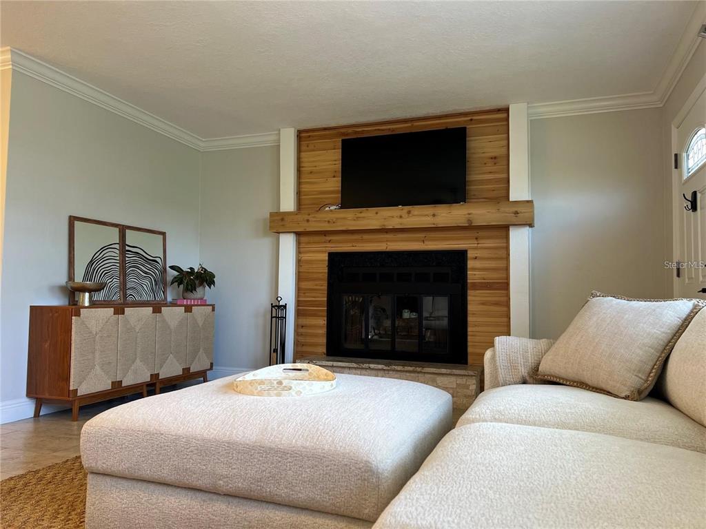 A living room features a fireplace with a wood-paneled wall, a television, and a sofa — 3748 MANATEE DRIVE SE, ST PETERSBURG, FL