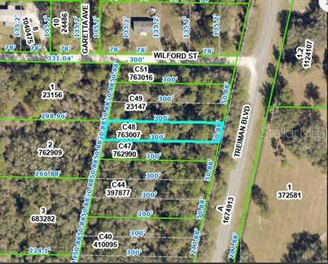 TREIMAN BOULEVARD, WEBSTER, FL — photo 2 of 5