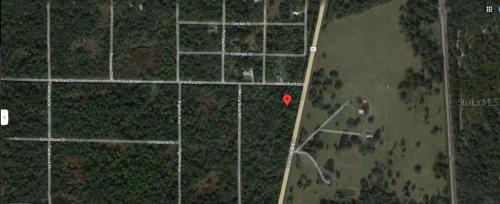 TREIMAN BOULEVARD, WEBSTER, FL — photo 3 of 5