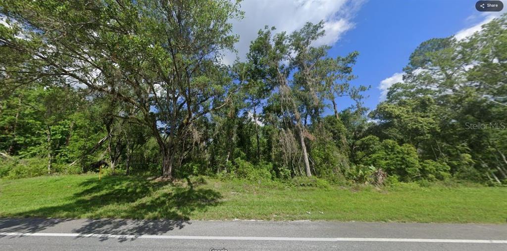TREIMAN BOULEVARD, WEBSTER, FL — photo 5 of 5