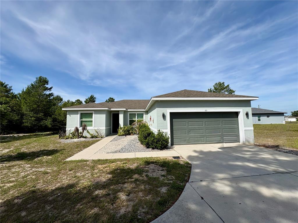 A single-story house with a light green exterior, a two-car garage, and a concrete driveway — 65 ZINNIA LANE E, KISSIMMEE, FL