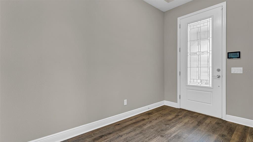 An entryway features gray walls, wood-look flooring, and a white front door with glass panels — 19455 REDWOOD POINT DRIVE, TAMPA, FL