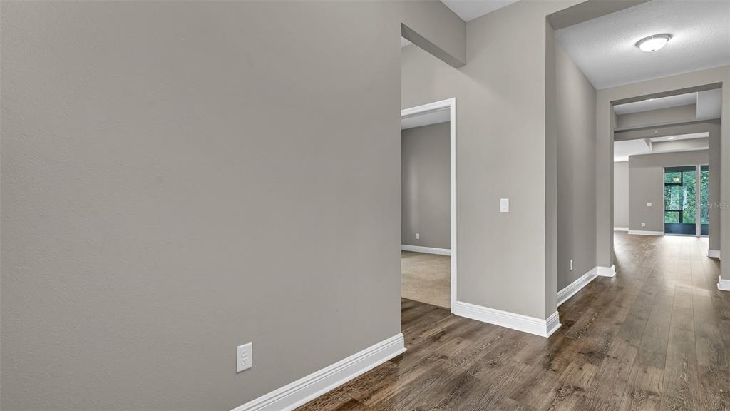 A hallway with wood-look flooring leads toward an open living area with a glass door — 19455 REDWOOD POINT DRIVE, TAMPA, FL