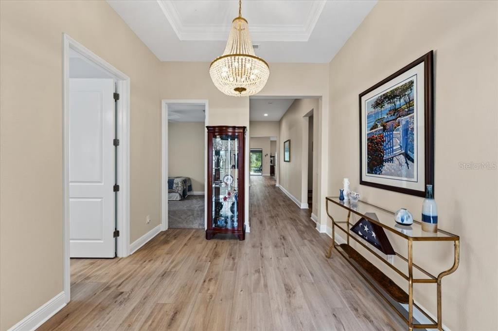 A bright foyer features wood-look flooring, a crystal chandelier, a display cabinet, and a console table — 9145 WARM SPRINGS CIRCLE, PARRISH, FL