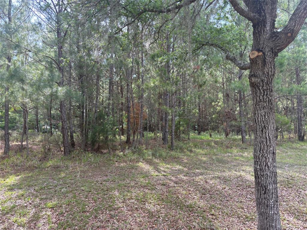 8845 NW 58TH LANE, GAINESVILLE, FL — photo 4 of 7