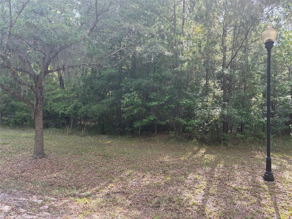 8845 NW 58TH LANE, GAINESVILLE, FL — photo 5 of 7