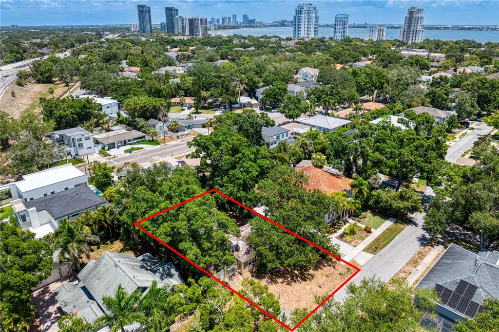 An aerial view shows a rectangular residential lot outlined in red amidst dense green trees — 3403 W BAY VILLA AVENUE, TAMPA, FL