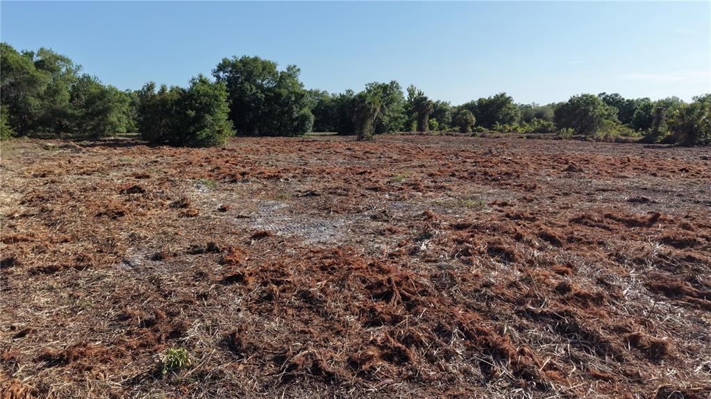 A large, cleared plot of land with scattered vegetation and a line of trees behind — 17017 NW 262ND STREET, OKEECHOBEE, FL