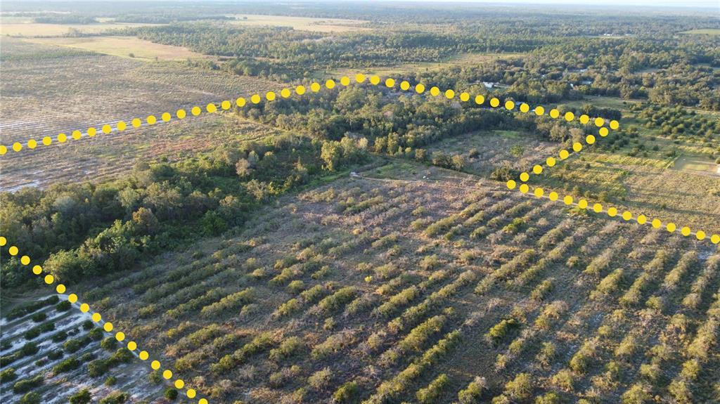 An aerial view shows a large plot of land with rows of trees and vegetation — 1895 OTTO POLK ROAD, FROSTPROOF, FL