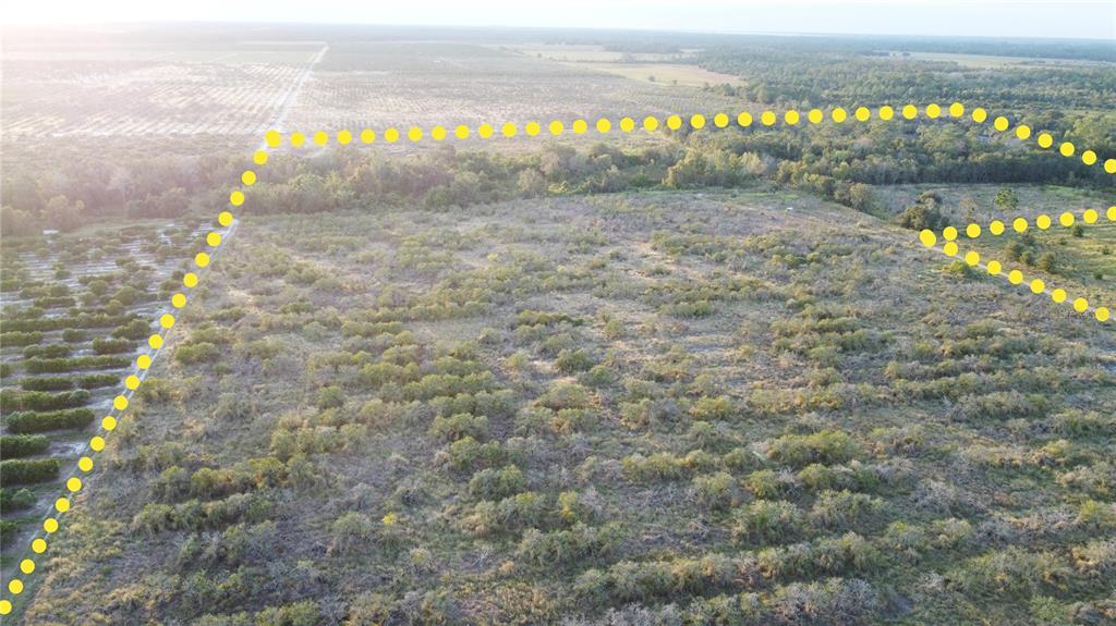 An aerial view shows a large, undeveloped plot of land bordered by citrus groves — 1895 OTTO POLK ROAD, FROSTPROOF, FL